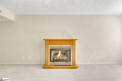 23 Chelseabrook Ct, Mauldin, SC 29662 - photo 7