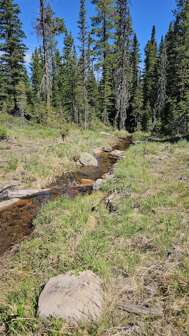 7524 Lower Telegraph Creek Rd, Elliston, MT 59728 - photo 4