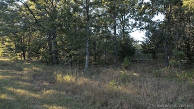 0 Tim Rd unit 3581161, Edwards, MO 65326 - photo 2