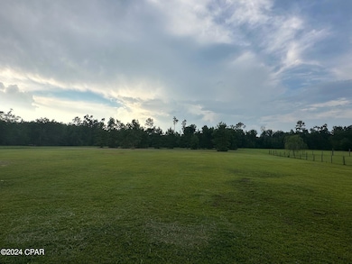 4158 Thompson Rd, Marianna, FL 32448 - photo 6