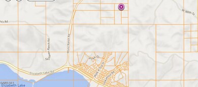 0 3224-033-011 Munz Rch Rd unit 25007426, Leona Valley, CA 93551 - photo 3