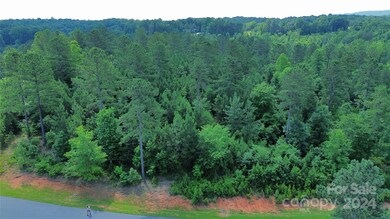 1489 Lake Vista Dr NE unit 16B, Connelly Springs, NC 28612 - photo 3