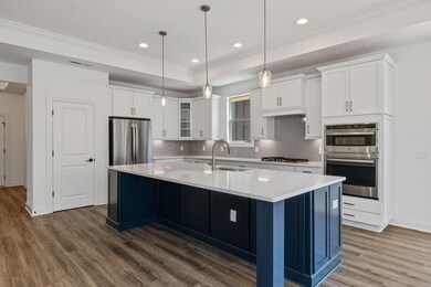 Deluxe Kitchen