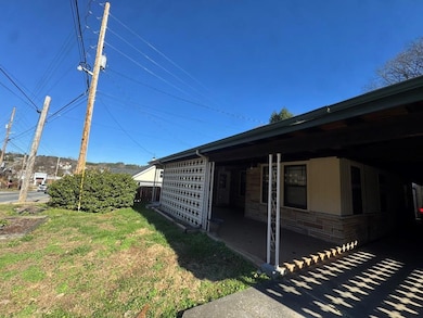 245 Blue Ridge Dr, McCaysville, GA 30555 - photo 2