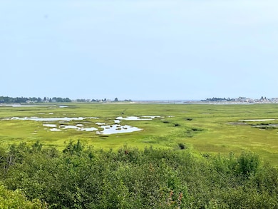 Marsh View