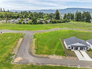18 Sunnyfield Dr unit Lot14, Cathlamet, WA 98612 - photo 2