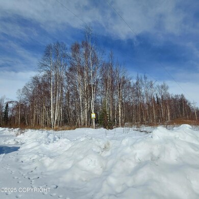 L1 S Clara Cir, Talkeetna, AK 99676 - photo 5