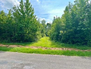 0 Harris Rd, McComb, MS 39648 - photo 3