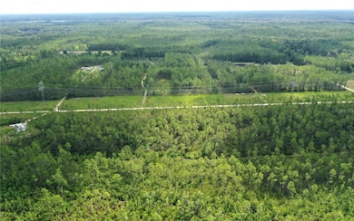 TBD NE 125th Ave, Fort McCoy, FL 32134 - photo 3