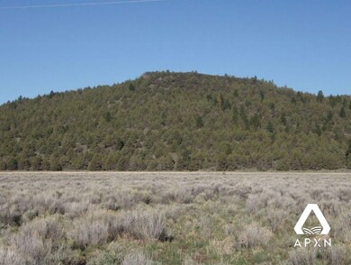Fort Rock Rd, Silver Lake, OR 97638 - photo 5