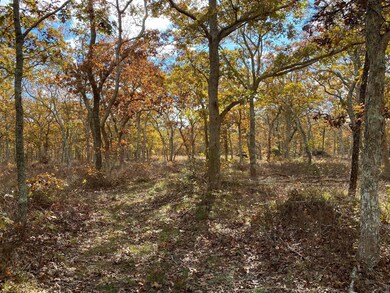 11 Brown Rd, Edgartown, MA 02539 - photo 4