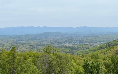Additional View