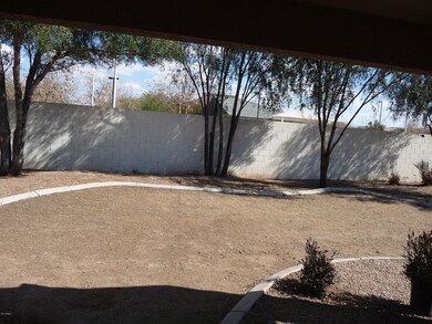 SB back yard