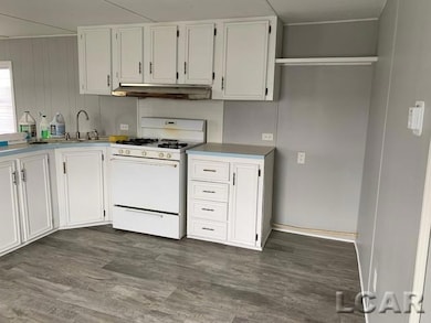 3180 N Adrian Hwy unit Lot 18, Adrian, MI 49221 - photo 5