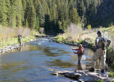 World class fishing in the streams near Stagecoach