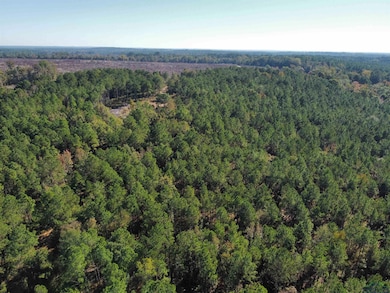 781 Sand Country Rd, Jefferson, TX 75657 - photo 7