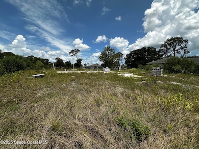 1421 Towton Street SE, Palm Bay, FL