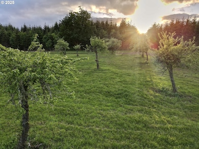 11892 Dupee Valley Rd, McMinnville, OR 97128 - photo 2