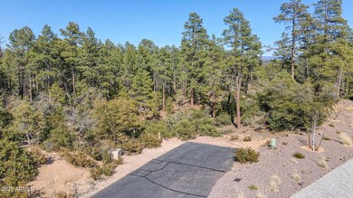 dji_fly_20250311_151610_786_174182156938