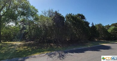 15963 Salado Dr, Temple, TX 76502 - photo 4