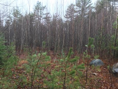 191 Wilkinson Swamp Rd, Effingham, NH 03882 - photo 7