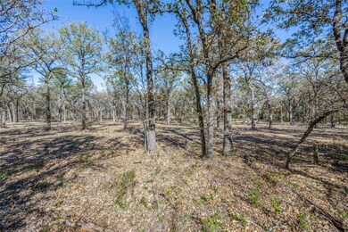 268 County Road 3671, Springtown, TX 76082 - photo 4