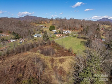 000 Calhoun Rd, Waynesville, NC 28786 - photo 2