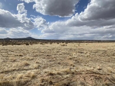 IMG_1136