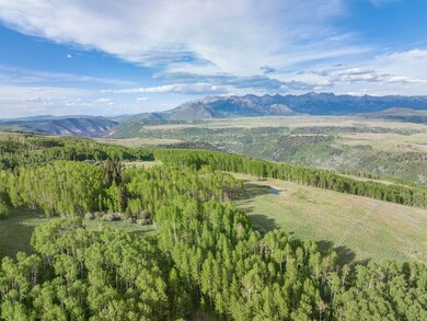 2673 Little Cone Ranch Road-009-006-Dron