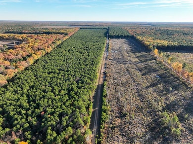 0 Fm 2120 unit 22715325, Bagwell, TX 75412 - photo 4