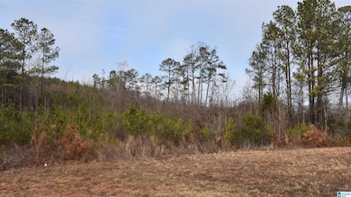 0 Renfroe Rd unit 21407810, Talladega, AL 35160 - photo 3