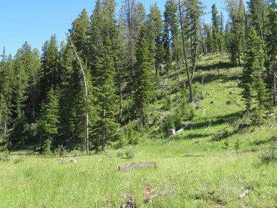 Blue Belle Quartz Hill Rd, Wise River, MT 59762 - photo 4