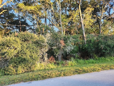 0 Cedar Trace, Ocala, FL 34472 - photo 3