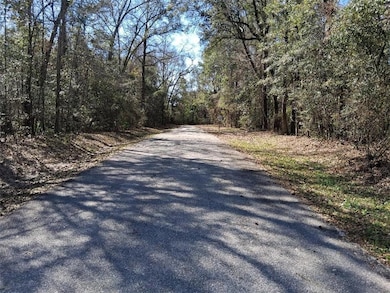 View of street featuring a wooded view