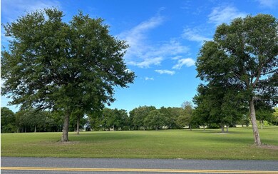 0 Mandiba Dr unit 122086, Lake City, FL 32024 - photo 3