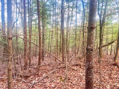 0 Maegans Dr unit LotWP001 23098892, Murphy, NC 28906 - photo 4