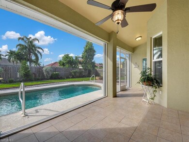 Picture Window Screening