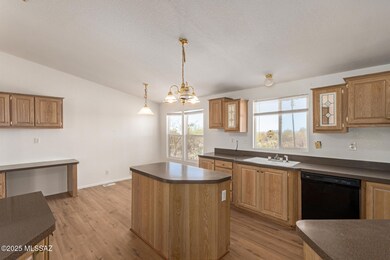 12301 S Saladom Rd, Tucson, AZ 85736 - photo 3