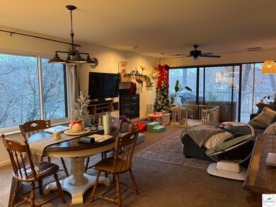 1505 Swiss Village Rd unit 3A, Osage Beach, MO 65065 - photo 7