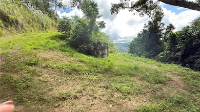 0 Bo Honduras unit MFRPR9117430, Cidra, PR 00739 - photo 4