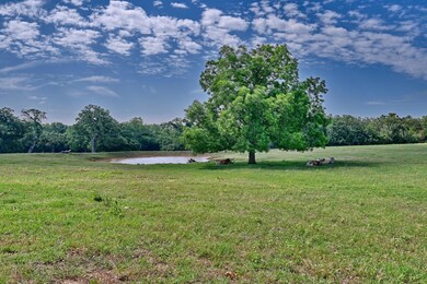 View of grassy yard with a water view and a woode