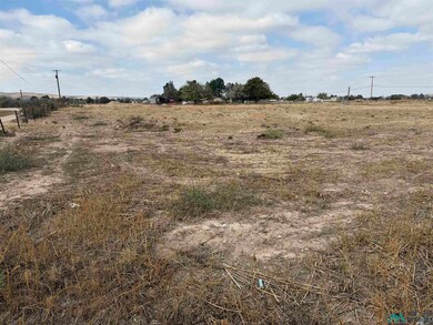 S of 2003 Standpipe Rd, Carlsbad, NM 88220 - photo 5