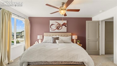 1958 Dawkins View, Colorado Springs, CO 80910 - photo 7