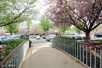 7527 Spring Lake Dr unit B-1, Bethesda, MD 20817 - photo 4