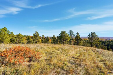 Lot17D W Minnesota St, Rapid City, SD 57701 - photo 4