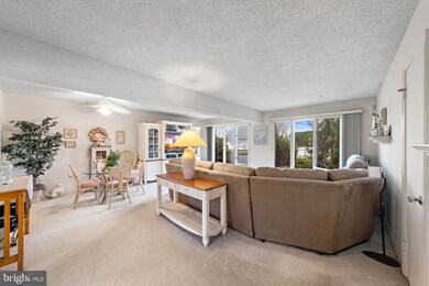 187 Jeremy Ln, Manahawkin, NJ 08050 - photo 5