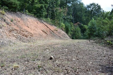 includes water rights