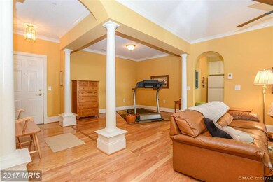 2520 Waterside Dr unit 301, Frederick, MD 21701 - photo 5
