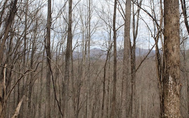 Additional View