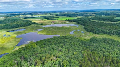 TBD Timberlane Rd, Staples, MN 56479 - photo 7